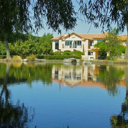 Tuscany Downs Estate Darfield 외부 사진